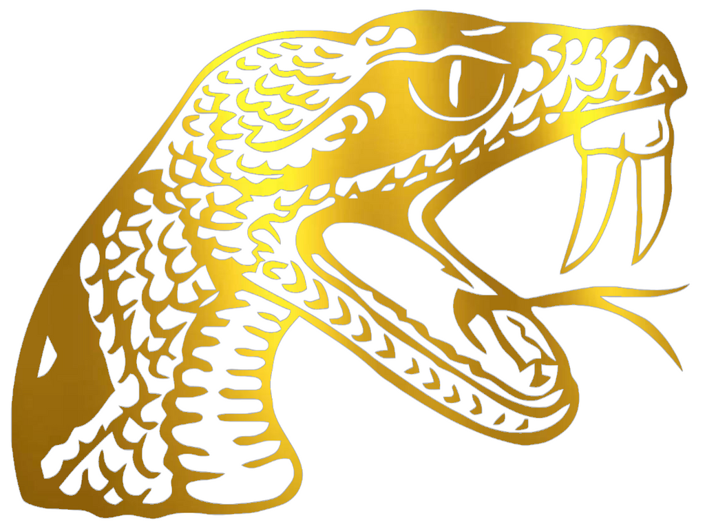 Florida A&M Rattlers GOLD CHROME MIRROR Team Logo Premium DieCut Vinyl Decal PICK SIZE