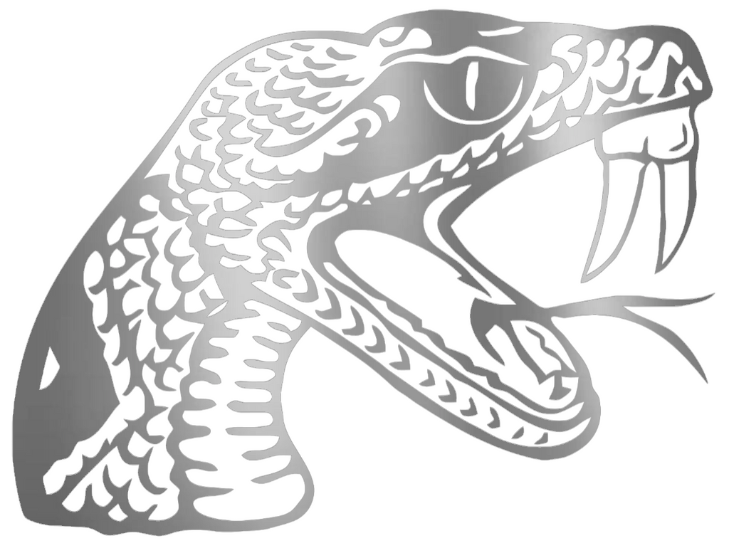Florida A&M Rattlers SILVER CHROME MIRROR Team Logo Premium DieCut Vinyl Decal PICK SIZE