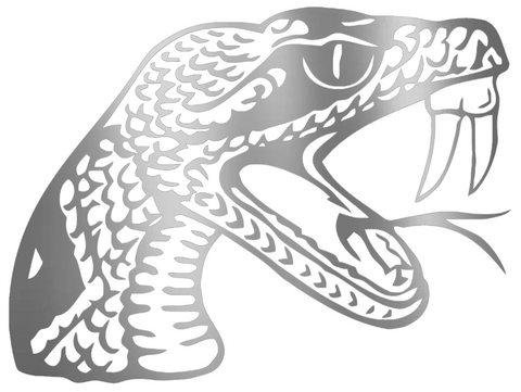 Florida A&M Rattlers SILVER CHROME MIRROR Team Logo Premium DieCut Vinyl Decal PICK SIZE