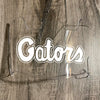 Florida Gators Full Size Football Helmet Visor Shield w/ Clips - PICK VISOR & LOGO COLOR