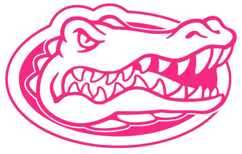 Florida Gators HOT PINK Team Logo Premium DieCut Vinyl Decal PICK SIZE