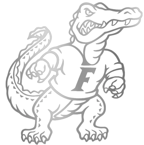 Florida Gators SILVER CHROME MIRROR Mascot Logo Premium DieCut Vinyl Decal PICK SIZE