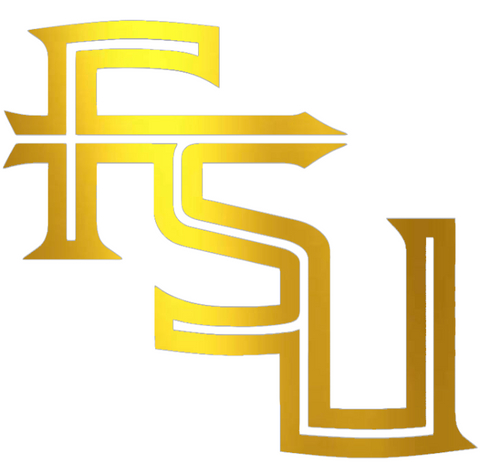 Florida State Seminoles GOLD CHROME MIRROR FSU Logo Premium DieCut Vinyl Decal PICK SIZE