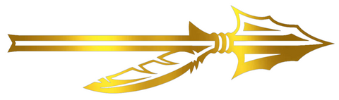 Florida State Seminoles GOLD CHROME MIRROR Spear Logo Premium DieCut Vinyl Decal PICK SIZE
