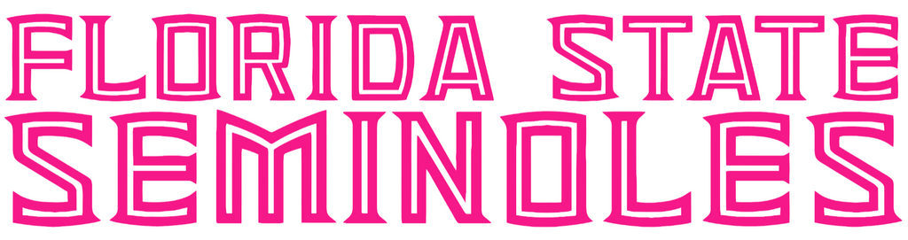 Florida State Seminoles Hot Pink Team Name Logo Premium DieCut Vinyl Decal PICK SIZE