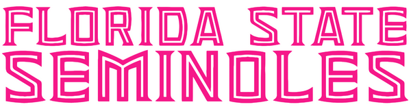Florida State Seminoles Hot Pink Team Name Logo Premium DieCut Vinyl Decal PICK SIZE
