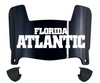 Florida Atlantic Owls Mini Football Helmet Visor Shield w/ Clips - PICK VISOR & LOGO COLOR