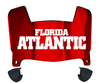 Florida Atlantic Owls Mini Football Helmet Visor Shield w/ Clips - PICK VISOR & LOGO COLOR