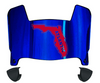 Florida Atlantic Owls Mini Football Helmet Visor Shield w/ Clips - PICK VISOR & LOGO COLOR