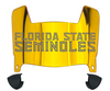Florida State Seminoles Mini Football Helmet Visor Shield w/ Clips - PICK VISOR & LOGO COLOR