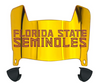 Florida State Seminoles Mini Football Helmet Visor Shield w/ Clips - PICK VISOR & LOGO COLOR