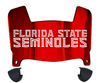 Florida State Seminoles Mini Football Helmet Visor Shield w/ Clips - PICK VISOR & LOGO COLOR
