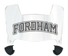 Fordham Rams Mini Football Helmet Visor Shield w/ Clips - PICK VISOR & LOGO COLOR