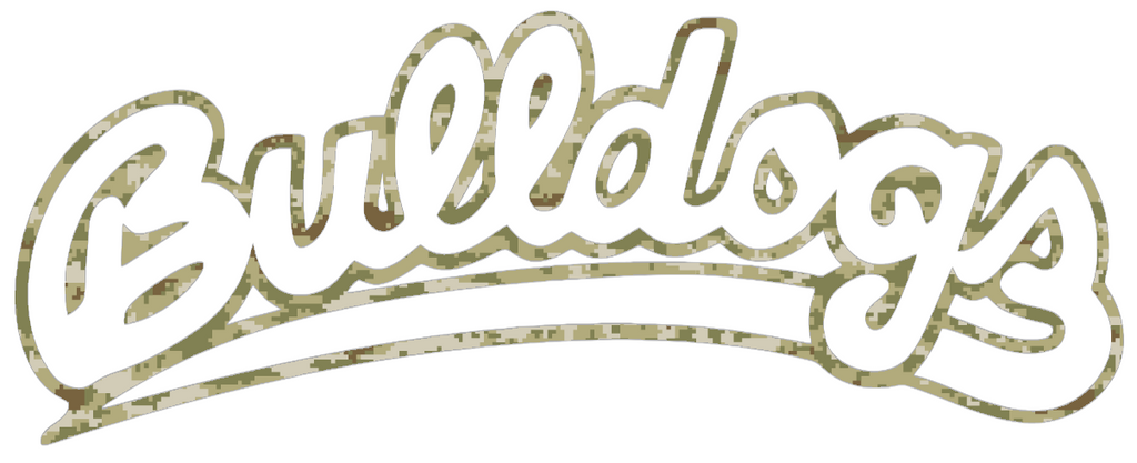 Fresno State Bulldogs Script Team Name Logo Salute to Service Camouflage Camo Vinyl Decal PICK SIZE