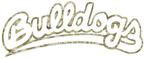 Fresno State Bulldogs Script Team Name Logo Salute to Service Camouflage Camo Vinyl Decal PICK SIZE