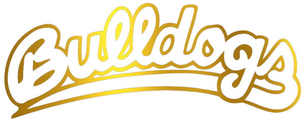 Fresno State Bulldogs GOLD CHROME MIRROR Script Team Name Logo Premium DieCut Vinyl Decal PICK SIZE