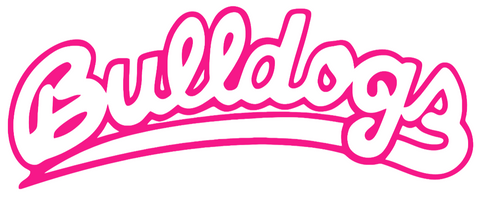 Fresno State Bulldogs Hot Pink Script Team Name Logo Premium DieCut Vinyl Decal PICK SIZE