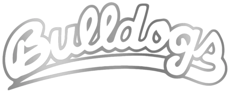 Fresno State Bulldogs SILVER CHROME MIRROR Script Team Name Logo Premium DieCut Vinyl Decal PICK SIZE