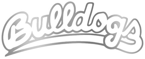 Fresno State Bulldogs SILVER CHROME MIRROR Script Team Name Logo Premium DieCut Vinyl Decal PICK SIZE