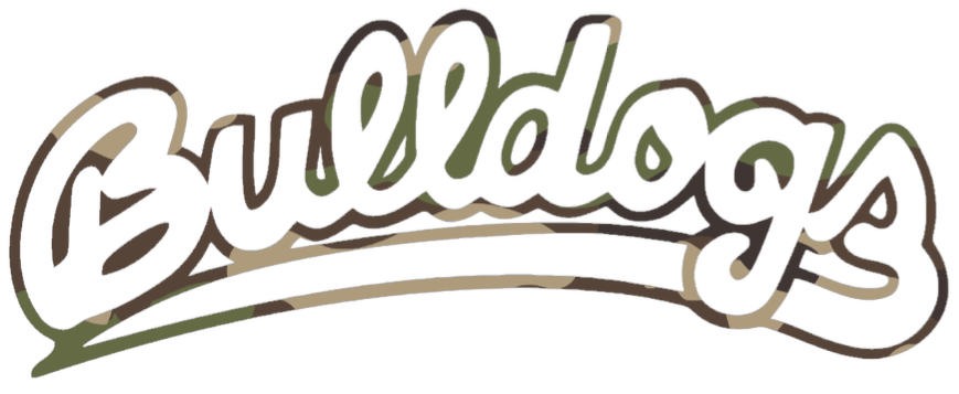 Fresno State Bulldogs Woodland Camo Camouflage Script Team Name Logo Premium DieCut Vinyl Decal PICK SIZE