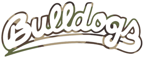 Fresno State Bulldogs Woodland Camo Camouflage Script Team Name Logo Premium DieCut Vinyl Decal PICK SIZE