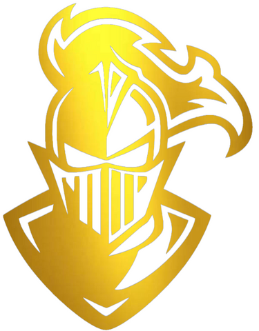 Furman Paladins GOLD CHROME MIRROR Mascot Logo Premium DieCut Vinyl Decal PICK SIZE
