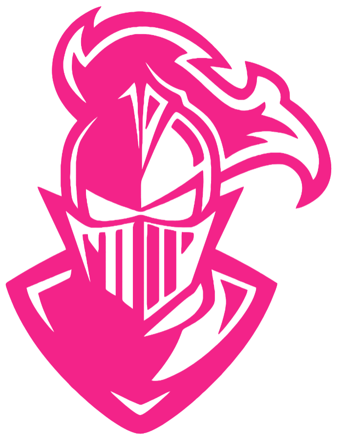 Furman Paladins Hot Pink Mascot Logo Premium DieCut Vinyl Decal PICK SIZE