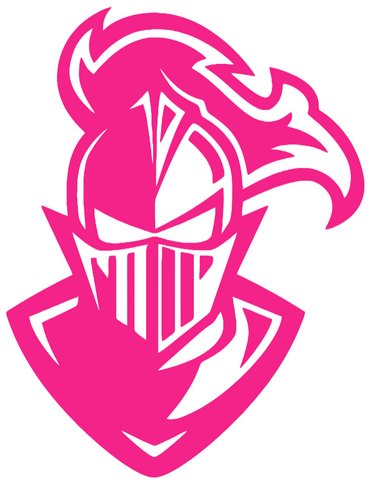 Furman Paladins Hot Pink Mascot Logo Premium DieCut Vinyl Decal PICK SIZE