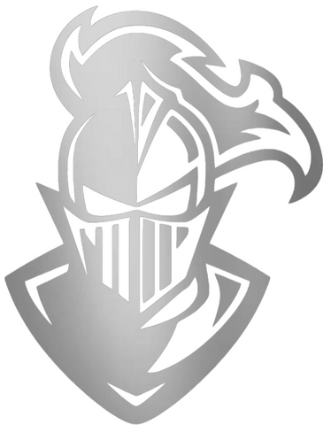 Furman Paladins SILVER CHROME MIRROR Mascot Logo Premium DieCut Vinyl Decal PICK SIZE