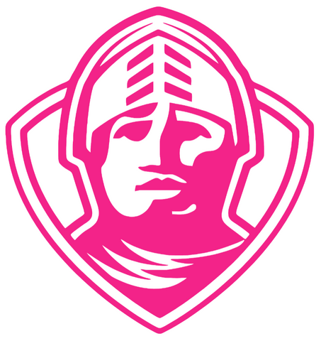 Furman Paladins Hot Pink Retro Throwback Logo Premium DieCut Vinyl Decal PICK SIZE
