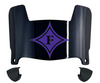 Furman Paladins Mini Football Helmet Visor Shield w/ Clips - PICK VISOR & LOGO COLOR