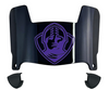 Furman Paladins Mini Football Helmet Visor Shield w/ Clips - PICK VISOR & LOGO COLOR