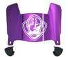 Furman Paladins Mini Football Helmet Visor Shield w/ Clips - PICK VISOR & LOGO COLOR