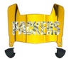 Green Bay Packers Limited Edition Mini Football Helmet Visor Shield w/ Clips - PICK VISOR & LOGO COLOR