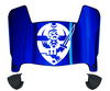 Hampton Pirates Mini Football Helmet Visor Shield w/ Clips - PICK VISOR & LOGO COLOR