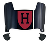 Harvard Crimson Mini Football Helmet Visor Shield w/ Clips - PICK VISOR & LOGO COLOR