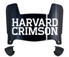 Harvard Crimson Mini Football Helmet Visor Shield w/ Clips - PICK VISOR & LOGO COLOR