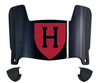 Harvard Crimson Mini Football Helmet Visor Shield w/ Clips - PICK VISOR & LOGO COLOR