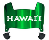 Hawaii Warriors Mini Football Helmet Visor Shield w/ Clips - PICK VISOR & LOGO COLOR