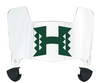 Hawaii Warriors Mini Football Helmet Visor Shield w/ Clips - PICK VISOR & LOGO COLOR