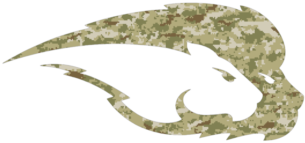 Hofstra Pride Team Logo Salute to Service Camouflage Camo Vinyl Decal PICK SIZE