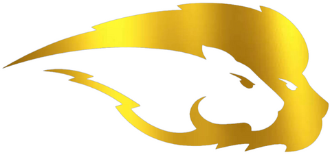 Hofstra Pride GOLD CHROME MIRROR Team Logo Premium DieCut Vinyl Decal PICK SIZE