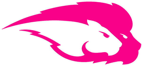 Hofstra Pride Hot Pink Team Logo Premium DieCut Vinyl Decal PICK SIZE