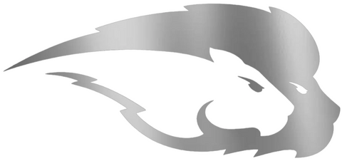 Hofstra Pride SILVER CHROME MIRROR Team Logo Premium DieCut Vinyl Decal PICK SIZE