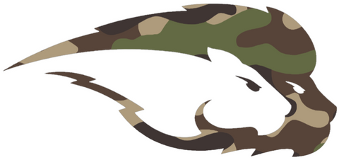 Hofstra Pride Woodland Camo Camouflage Team Logo Premium DieCut Vinyl Decal PICK SIZE