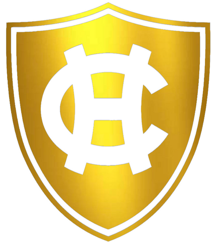 Holy Cross Crusaders GOLD CHROME MIRROR Team Logo Premium DieCut Vinyl Decal PICK SIZE