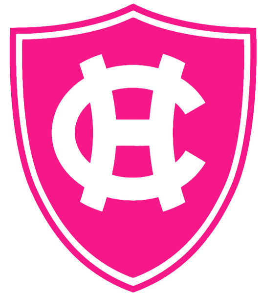 Holy Cross Crusaders Hot Pink Team Logo Premium DieCut Vinyl Decal PICK SIZE