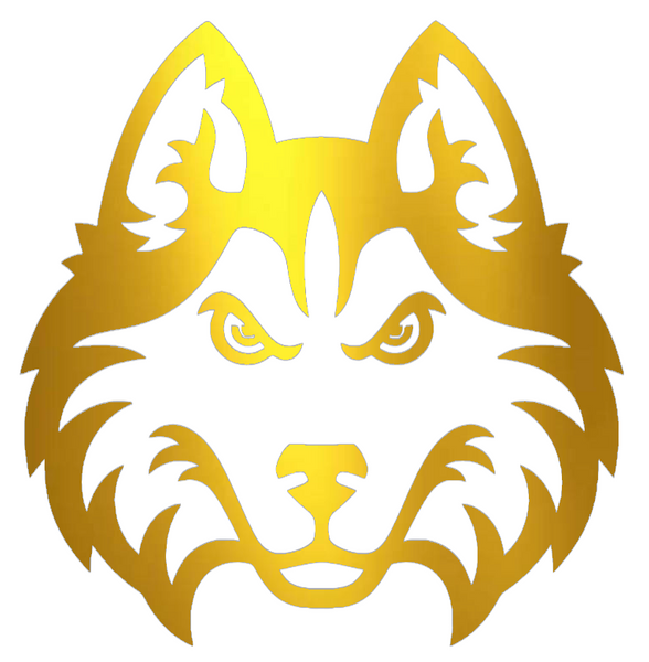 Houston Christian Huskies GOLD CHROME MIRROR Team Logo Premium DieCut Vinyl Decal PICK SIZE