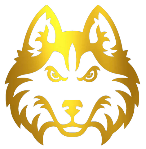 Houston Christian Huskies GOLD CHROME MIRROR Team Logo Premium DieCut Vinyl Decal PICK SIZE