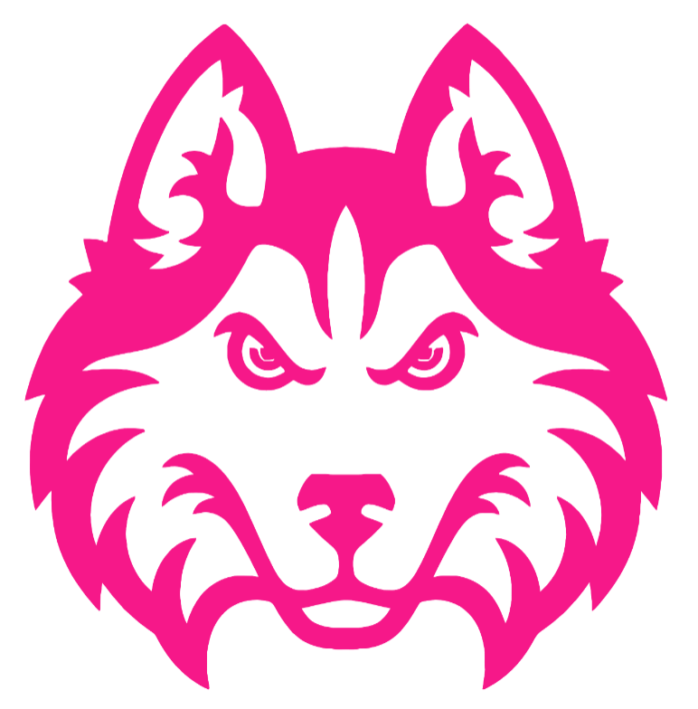Houston Christian Huskies Hot Pink Team Logo Premium DieCut Vinyl Decal PICK SIZE